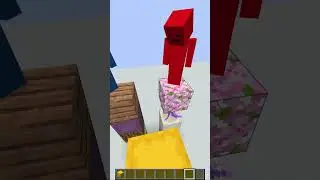 Minecraft Guess The Block 2