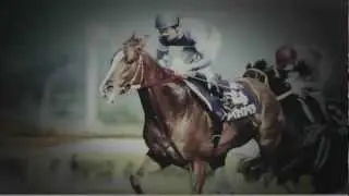 The LEGEND　2013年　JRA　CM フェブラリーステークス メイセイオペラ