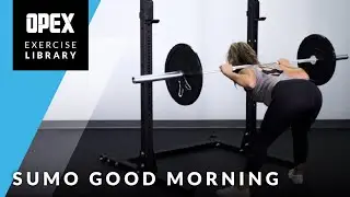 Sumo Good Morning - OPEX Exercise Library