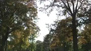My Louisville, Part 1