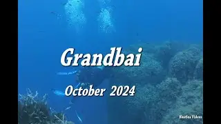 Grand bai dive site