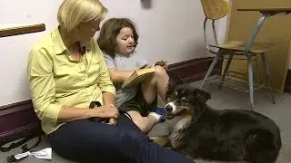 Australian Shepherd Helps Children Develop Reading Skills