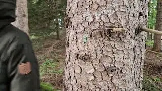 Verr&auml;tersohn