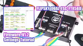 Flipsky Dual ESC FT85BD Firmware V1.2 Settings Tutorial