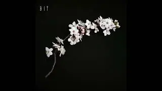 Campos de la memoria - bit (2018)