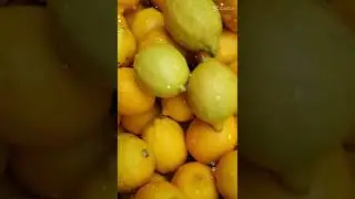 #shorts #jumbo fresh lemon 🍋 #asmr #satisfyingsour #viralshorts @nessblogs3716