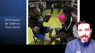 Entrenamiento visual en el boxeo