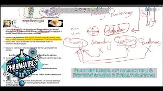 Protein Structures: and level of complexity, Peptide Bond Properties and Denaturation Explained