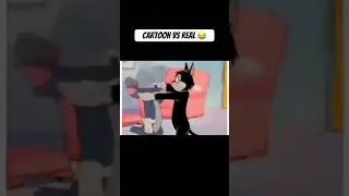 Cartoon vs real time moments #cartoonvsreallife #cartoonvsreality #funnycats