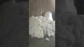Recycle cotton fiber Waite | Available on IndiaMART