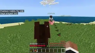Pig Jousting Glitch?