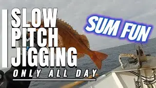 Slow Pitch Jigging ONLY All Day DEEP 12/22/24 on the Sum Fun out of Dana Wharf Sportfishing 3/4 Day