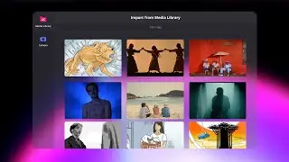 Getting Started with StudioBinder — Media Management Features
