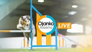 15.2.2026 Keravan Agility Team agilitykilpailut 1-2 lk
