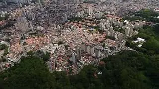 DJI Avata São Paulo From Above: Horto Florestal to City Skyline | Drone Footage