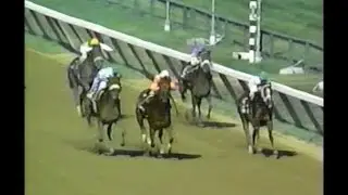 1991 Jim Dandy Stakes