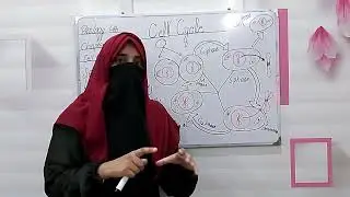 Cell Cycle, Chapter 4 Biology 9th Class| Lecture1 |Interphase & Mitotic Phase Explained new syllabus