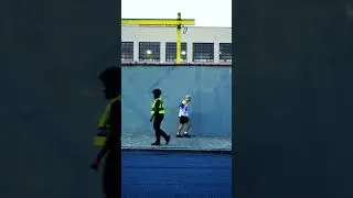 The Goose is Loose