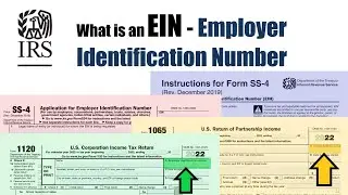 What is an Employer Identification Number - EIN