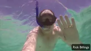 Swimming with Sharks in the Dominican Republic &mdash; ARIIX Incentive Trip