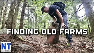 Finding old deserted farms deep in the Colonial New England woods