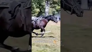 Последняя поездка ковбоя на любимой лошади ❤️