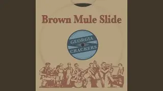 Georgia Black Bottom