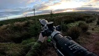Roe Stalk 02 02 25