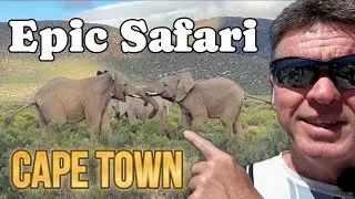 SAFARI in Cape Town, South Africa - Aquila Safari Park