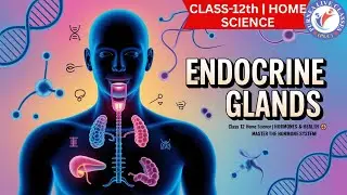 CLASS-12th | HOME SCIENCE | Chapter 1: Endocrine Glands | LEC-1 | BY-DR. KUMARI ARPANA | 07-05-25