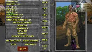 Daggerfall Unity Any% Glitchless Attempts (Includes Huge PB) - (27/1/2024)