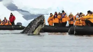 Wilhemina Bay, Antarctic Peninsula