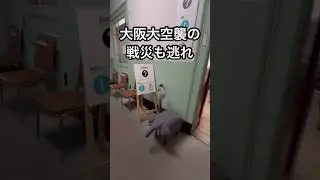 【ショートVlog】大阪府立中之島図書館/中がこんなに素敵だっとは/ネオバロック様式