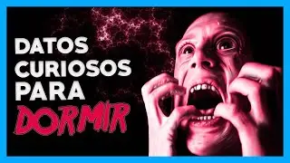 DATOS CURIOSOS para DORMIR tranquilamente ESTA NOCHE! 😴😴 ( Video animado ) Bitech Studio | Top 10