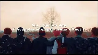 BTS - Spring Day (Acapella/Empty Arena effect)