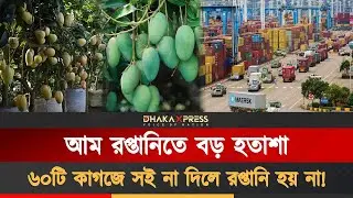 জটিলতায় বাংলাদেশের আম রপ্তানিতে ধ্বস | Global Trade Link | Mango Export Company