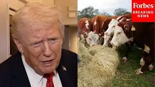 Трамп утверждает, что сделка по закупке говядины из Аргентины &laquo;поможет им выжить&raquo; в плохих услови...
