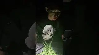🔴 Explore Misteri Nyai Blorong | Nano Error