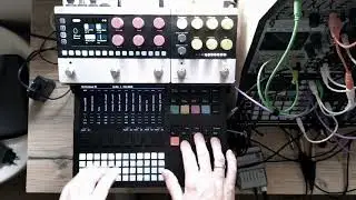 data_swamp.exe | Polyend Tracker+ + Mess + Press (Lone Machine + FXs)