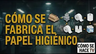 C&oacute;mo Se Fabrica el Papel Higi&eacute;nico | Proceso Industrial Paso a Paso