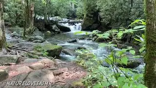 12 Hours Waterfall Sounds | Great Smoky Mountains National Park ASMR Sleep