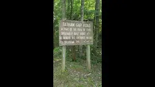 Tatham Gap Rd  (Dirty Dragon)