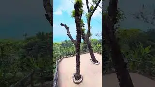 Living Above the Clouds 🌥️ | Chimbuk Hill Resort  Vlog 🇧🇩 #travel #nature #viralvideo