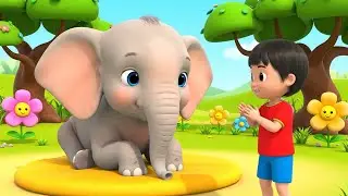 The Sleepy Baby Elephant Napped on the Mat 🐘 | Kids Songs and Nursery Rhymes