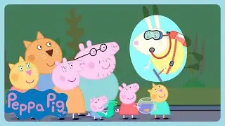 Peppa Pig - Sea Life | WildBrain Sunshine City | Cartoons for Kids