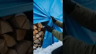 Cougar Cub Found Under Tarp as Mother Leaps to Safety Watch Now #wildlife #nature #cougar