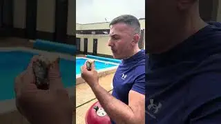 Камбала - царская рыба!