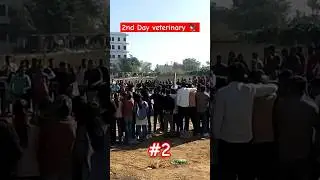 Veterinary 2nd Day 🤩❣️l Enjoying sports💜 l #shorts #veterinary #viral