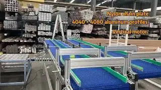 #Toshine #chainconveyor #conveyorbelt #conveyor #factoryequipment #factory