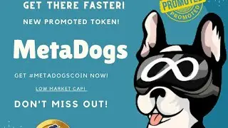 META DOGS COIN TOKEN FULL REVIEW ||  NEW PROJECT TOKEN || PRESALE LIVE